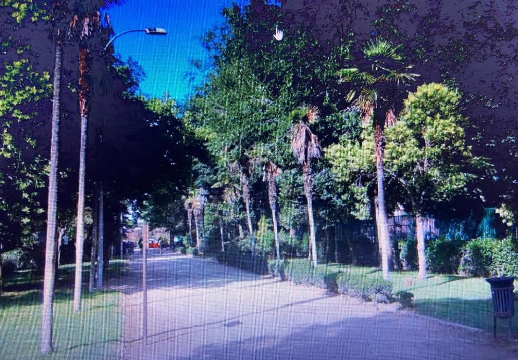 Apartament Noria 2B Alcalá de Henares Zewnętrze zdjęcie